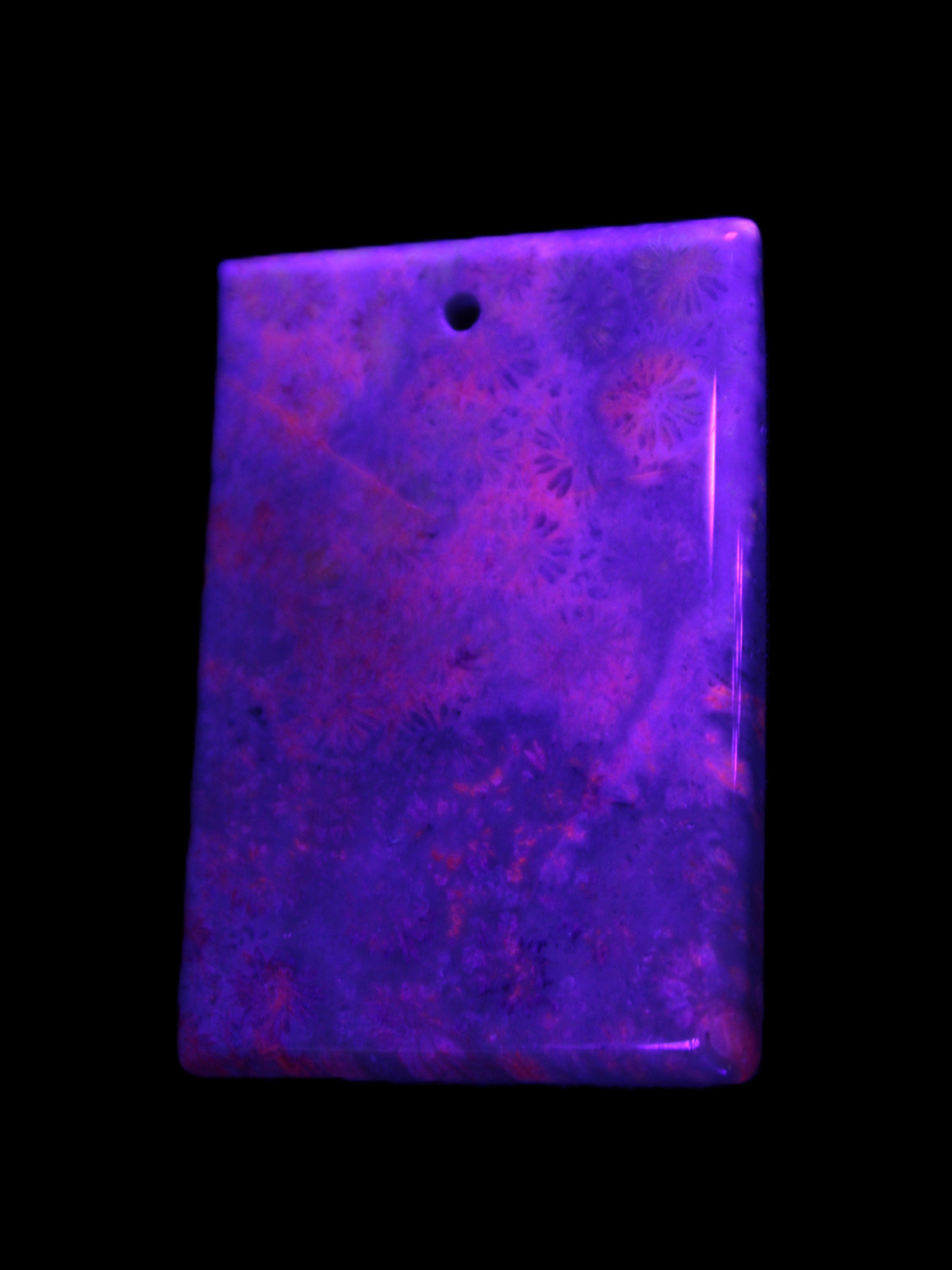 Rose Chrysanthemum coral fossil pendant 47*33*5mm 22.6g in UV light - Rocks and Things Store