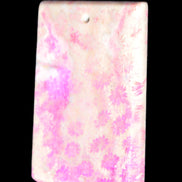 Rose Chrysanthemum coral fossil pendant 47*33*5mm 22.6g in bright sunlight - Rocks and Things Store