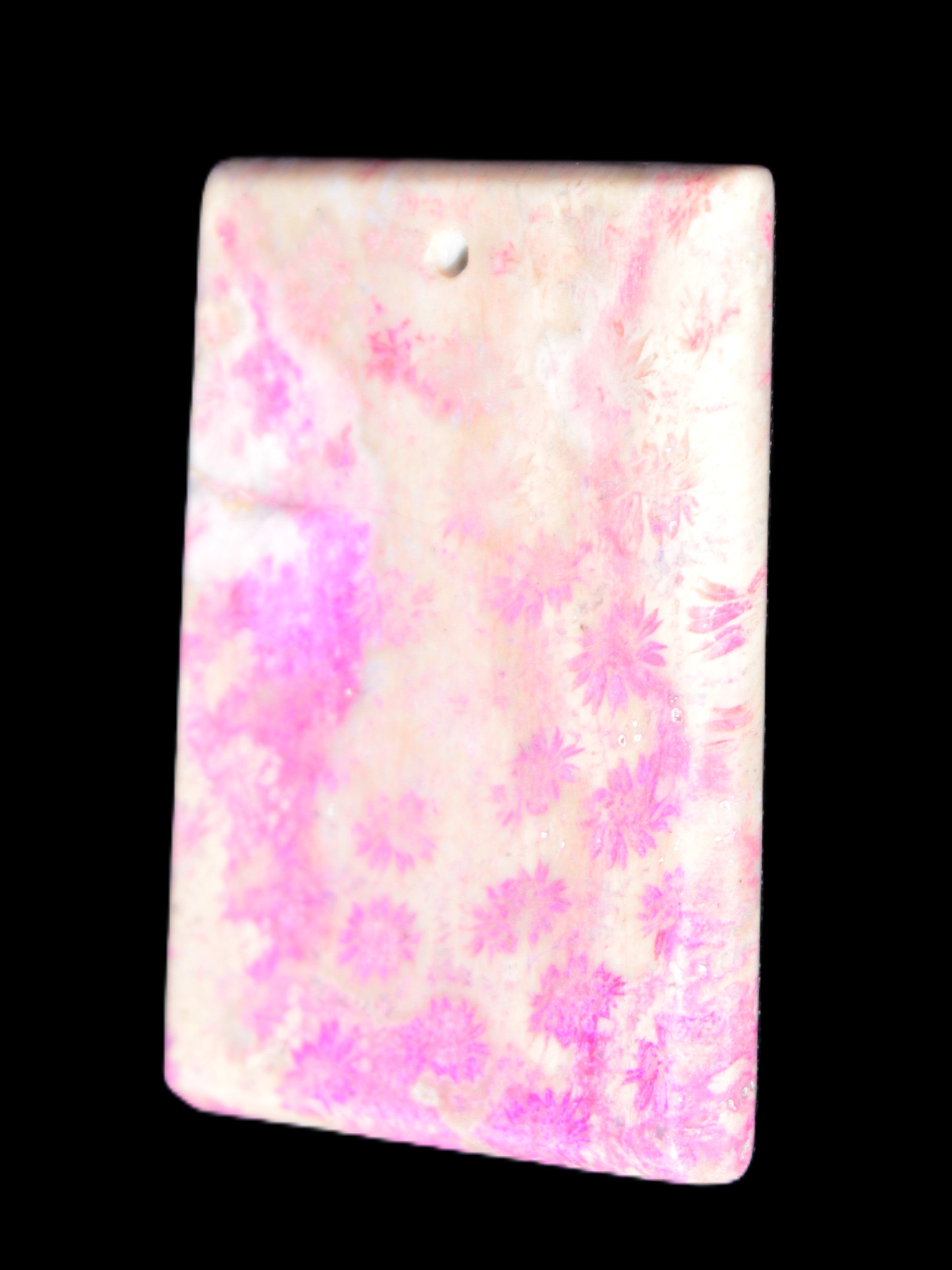 Rose Chrysanthemum coral fossil pendant 47*33*5mm 22.6g in bright sunlight - Rocks and Things Store