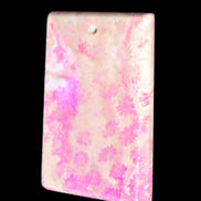 Rose Chrysanthemum coral fossil pendant 47*33*5mm 22.6g in bright sunlight - Rocks and Things Store