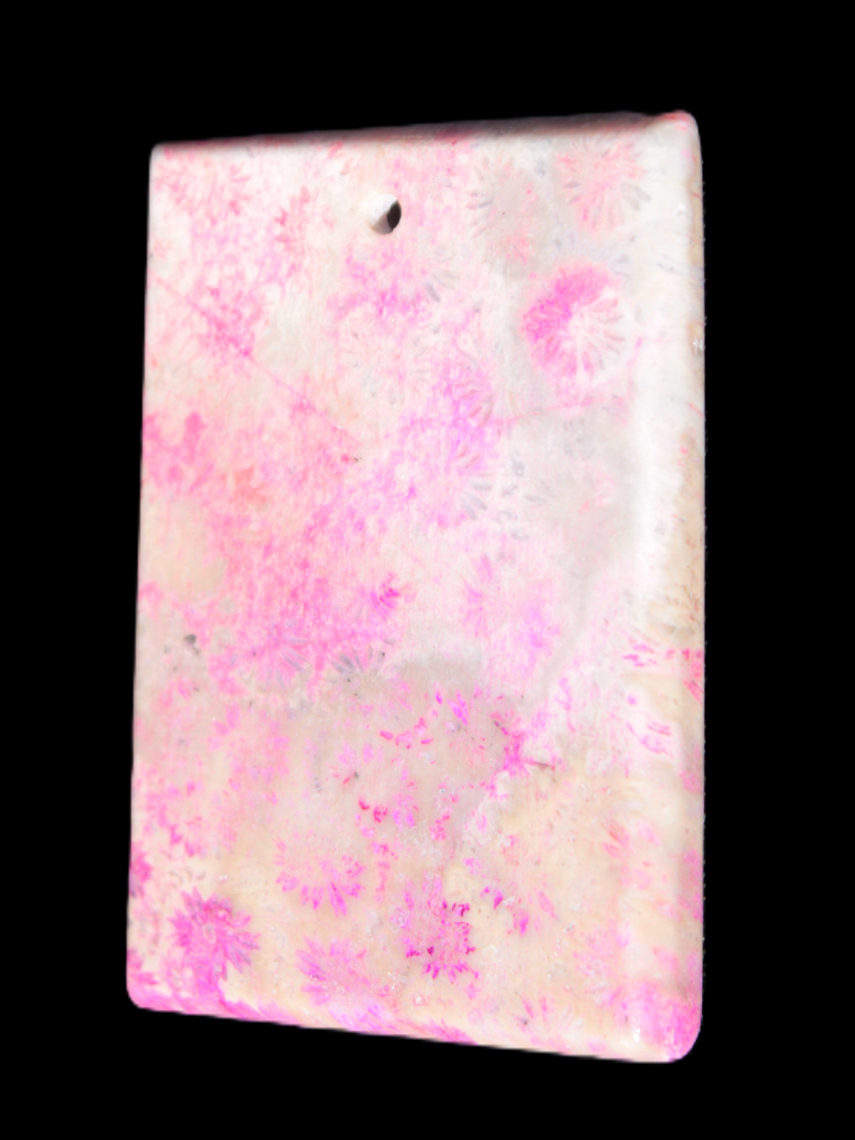 Rose Chrysanthemum coral fossil pendant 47*33*5mm 22.6g in bright sunlight - Rocks and Things Store