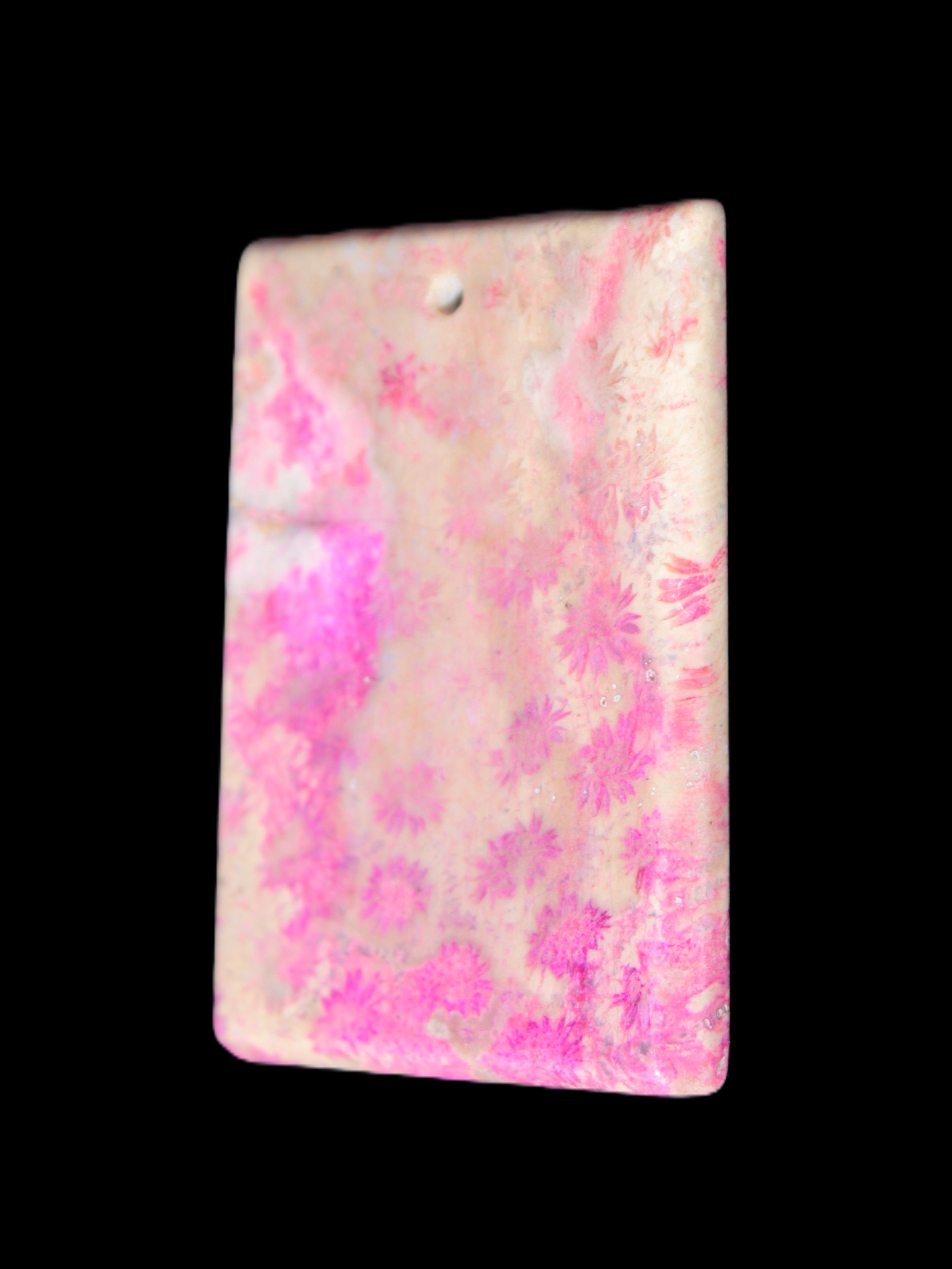 Rose Chrysanthemum coral fossil pendant 47*33*5mm 22.6g in bright sunlight - Rocks and Things Store