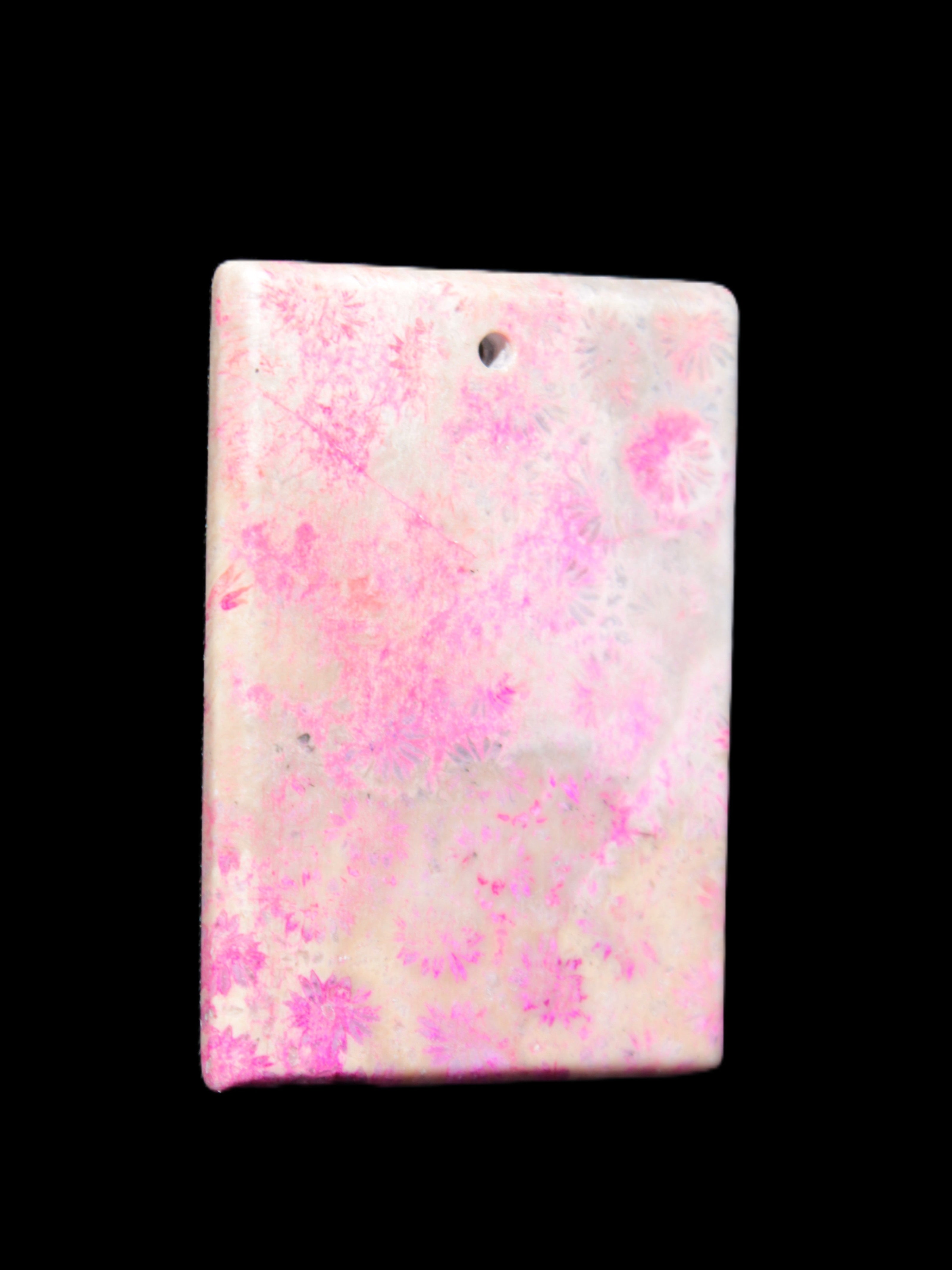 Rose Chrysanthemum coral fossil pendant 47*33*5mm 22.6g in bright sunlight - Rocks and Things Store