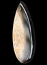 Geode Agate pendant 41*17*5mm 12g in sunlight - Rocks and Things Store