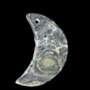 Kambaba Jasper Stromatolite fossil half-moon pendant 25*40mm 5.6-7.9g Rocks and Things Store