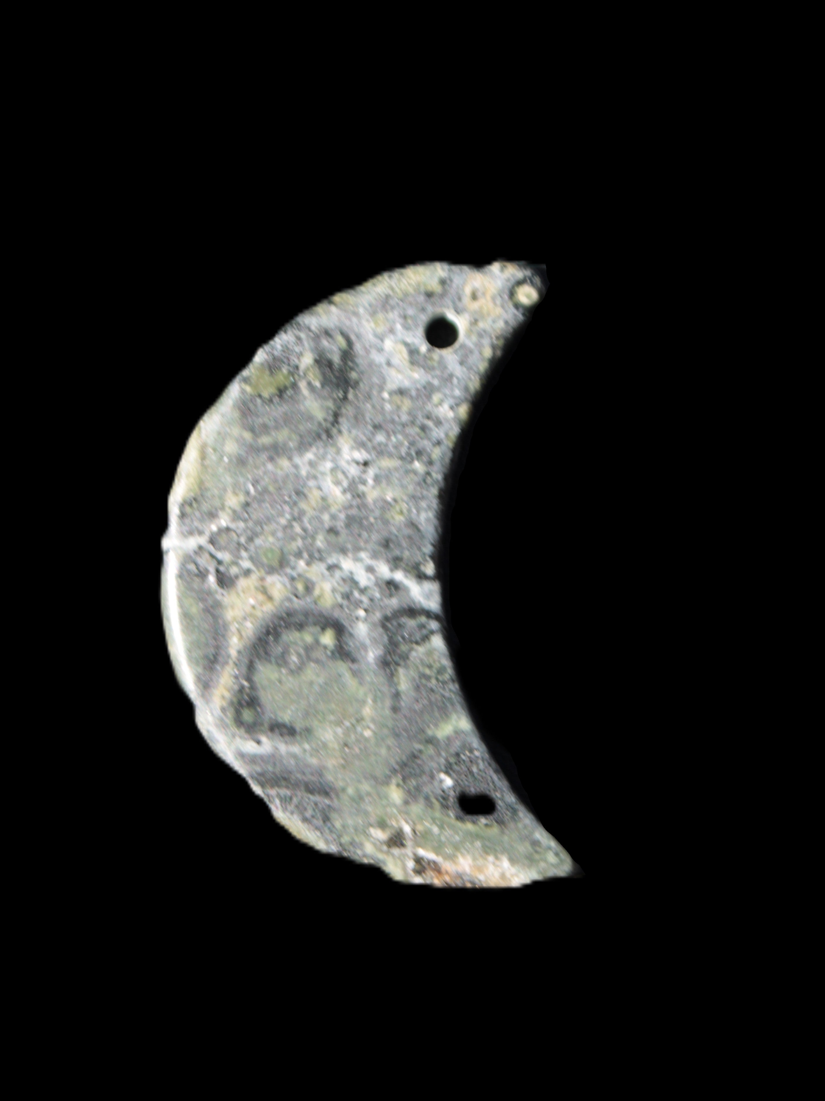 Kambaba Jasper Stromatolite fossil half-moon pendant 25*40mm 5.6-7.9g Rocks and Things Store
