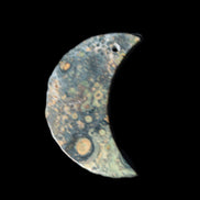 Kambaba Jasper Stromatolite fossil half-moon pendant 25*40mm 5.6-7.9g Rocks and Things Store