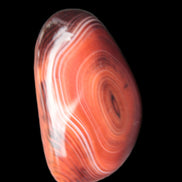 Crazy Lace Agate from Madagascar 46-65g in sunlight - Rocks and Things Store