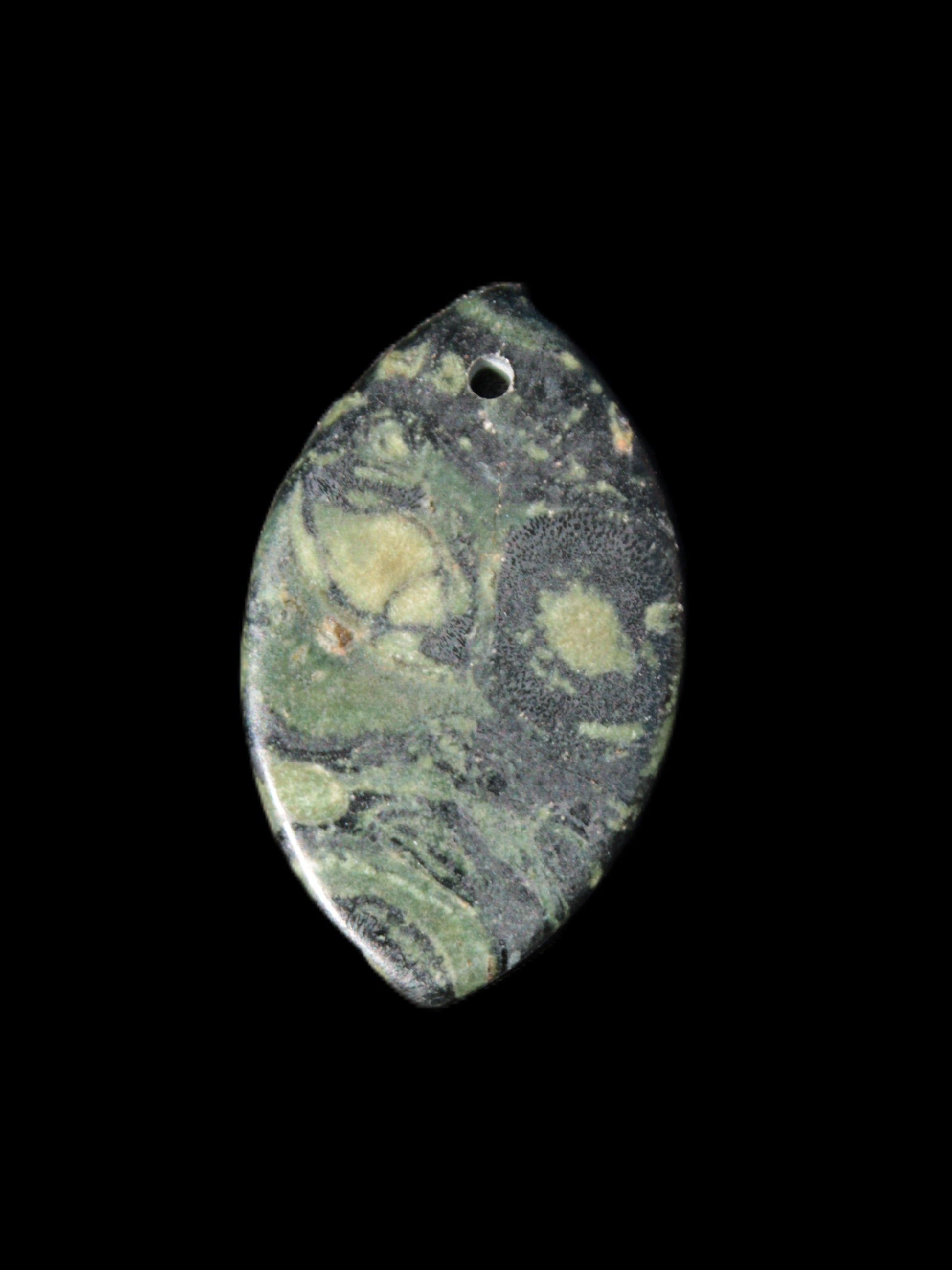 Kambaba Jasper Stromatolite fossil  pendant 21*35+mm 4.3-6.8g Rocks and Things Store