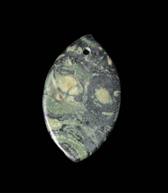 Kambaba Jasper Stromatolite fossil  pendant 21*35+mm 4.3-6.8g Rocks and Things Store