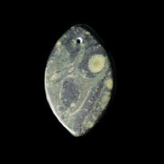 Kambaba Jasper Stromatolite fossil  pendant 21*35+mm 4.3-6.8g Rocks and Things Store