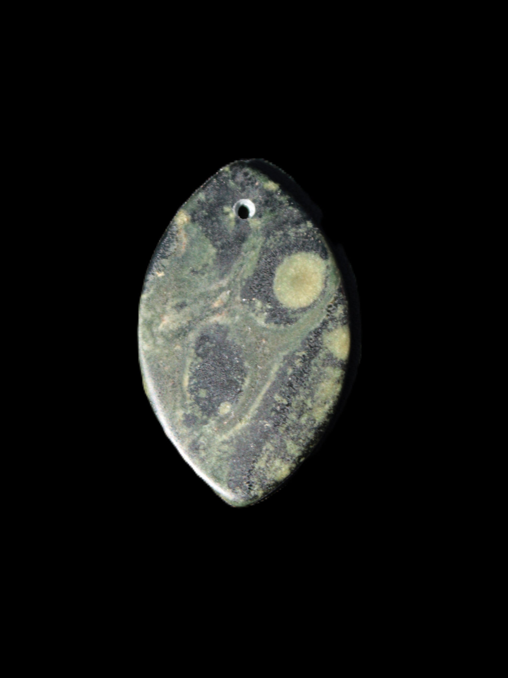Kambaba Jasper Stromatolite fossil  pendant 21*35+mm 4.3-6.8g Rocks and Things Store