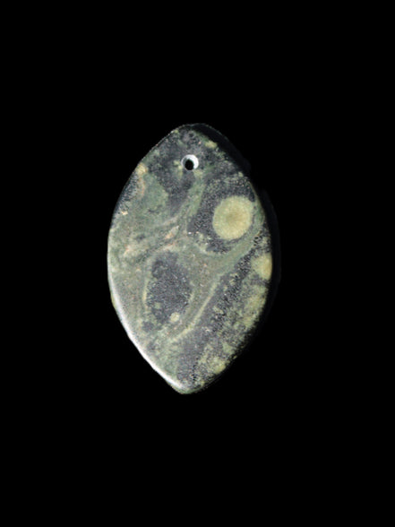 Kambaba Jasper Stromatolite fossil  pendant 21*35+mm 4.3-6.8g Rocks and Things Store