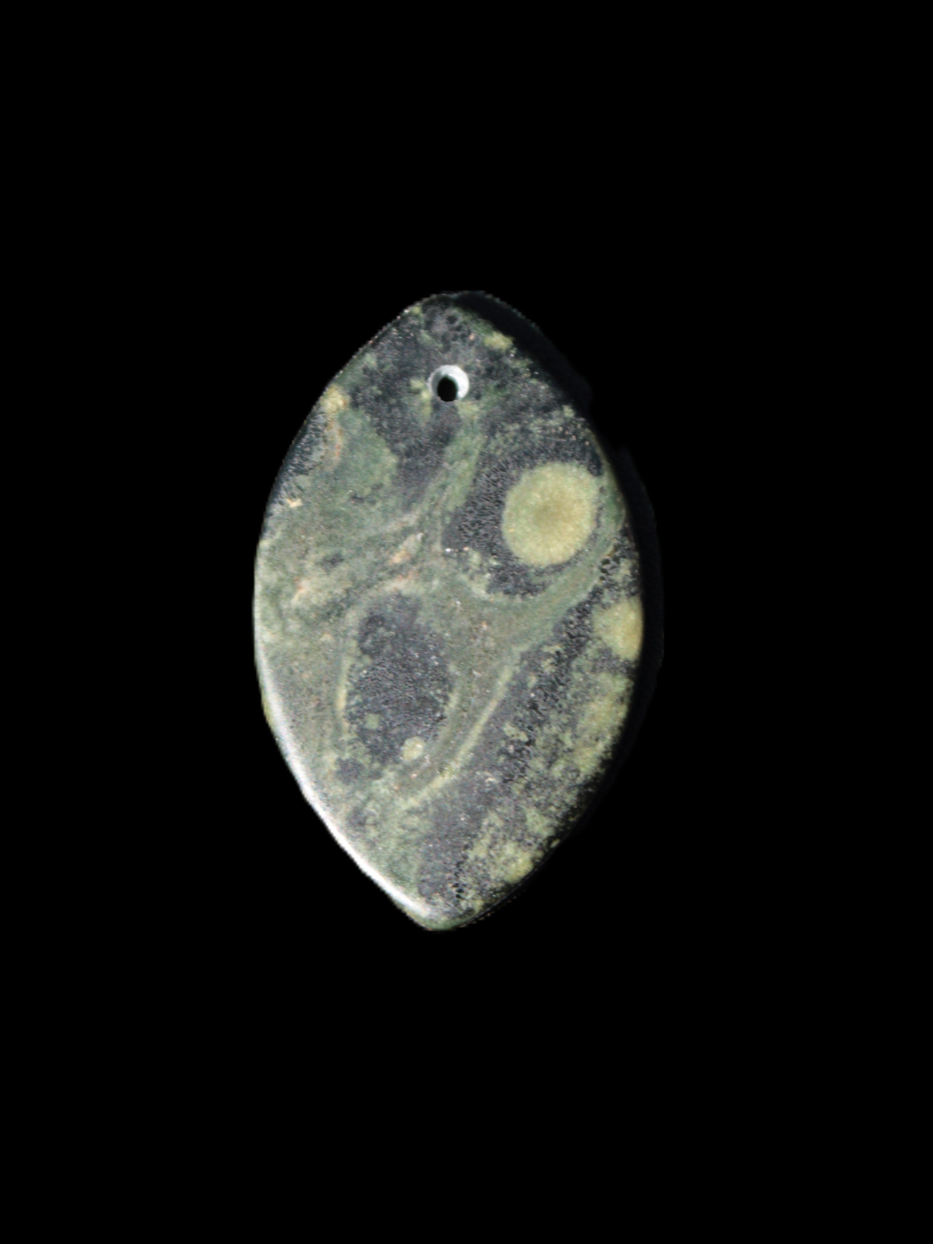 Kambaba Jasper Stromatolite fossil  pendant 21*35+mm 4.3-6.8g Rocks and Things Store