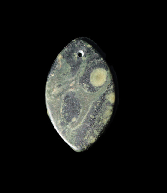 Kambaba Jasper Stromatolite fossil  pendant 21*35+mm 4.3-6.8g Rocks and Things Store