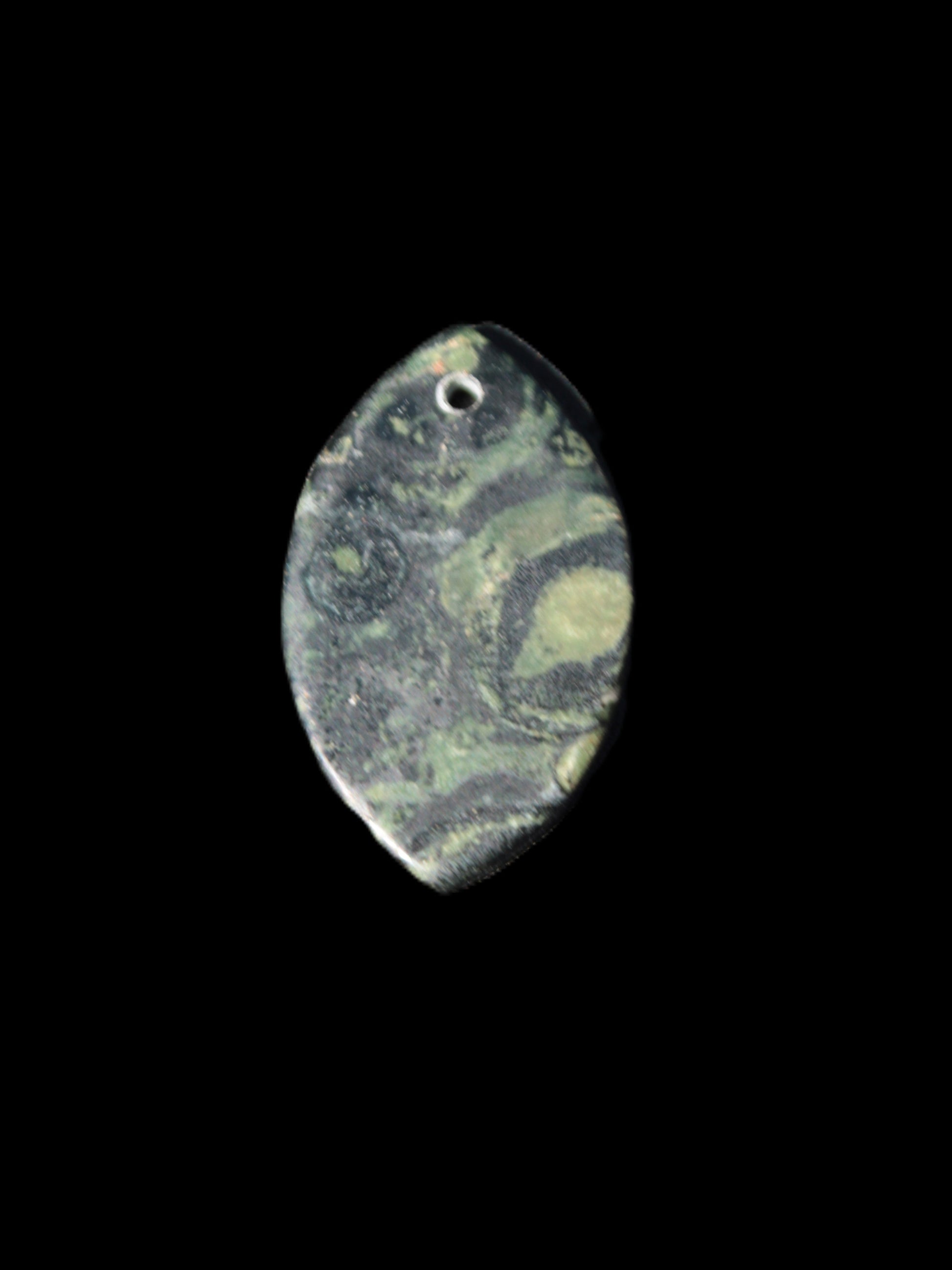 Kambaba Jasper Stromatolite fossil  pendant 21*35+mm 4.3-6.8g Rocks and Things Store