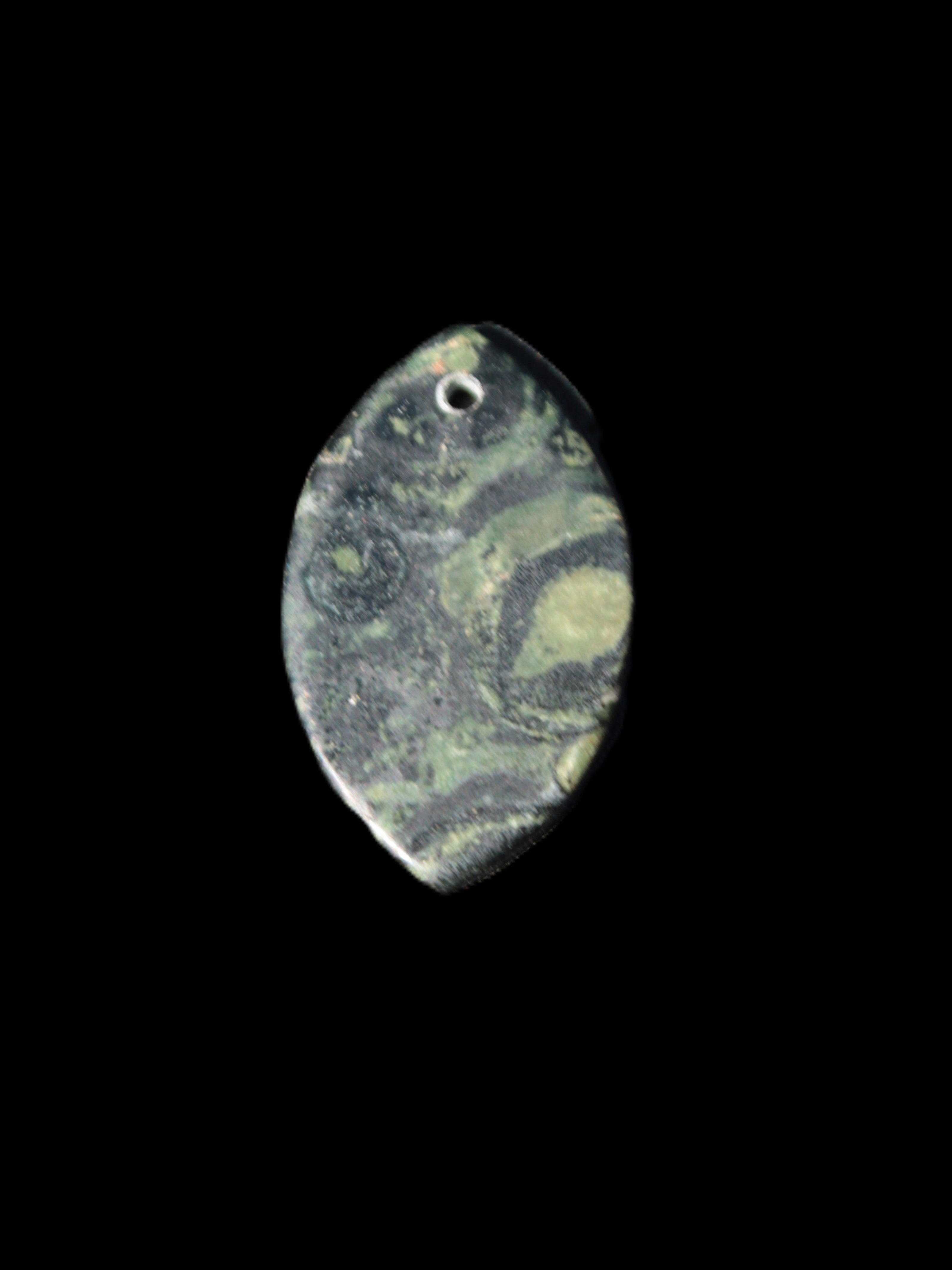 Kambaba Jasper Stromatolite fossil  pendant 21*35+mm 4.3-6.8g Rocks and Things Store