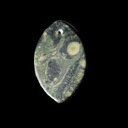 Kambaba Jasper Stromatolite fossil  pendant 21*35+mm 4.3-6.8g Rocks and Things Store