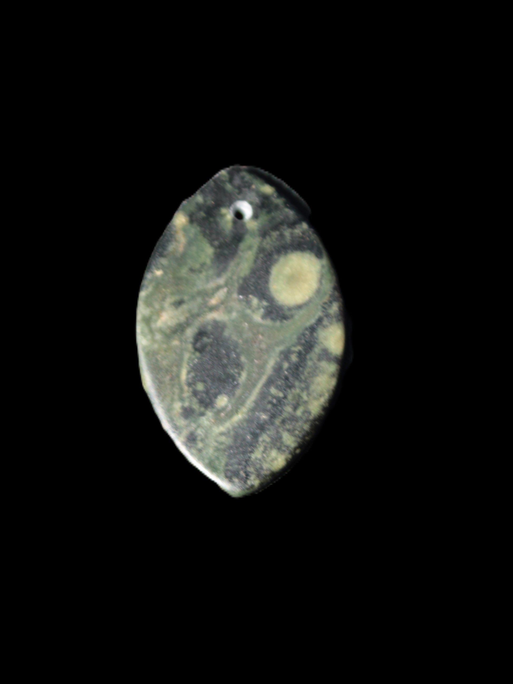 Kambaba Jasper Stromatolite fossil  pendant 21*35+mm 4.3-6.8g Rocks and Things Store