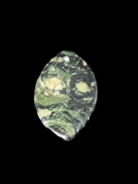 Kambaba Jasper Stromatolite fossil  pendant 21*35+mm 4.3-6.8g Rocks and Things Store