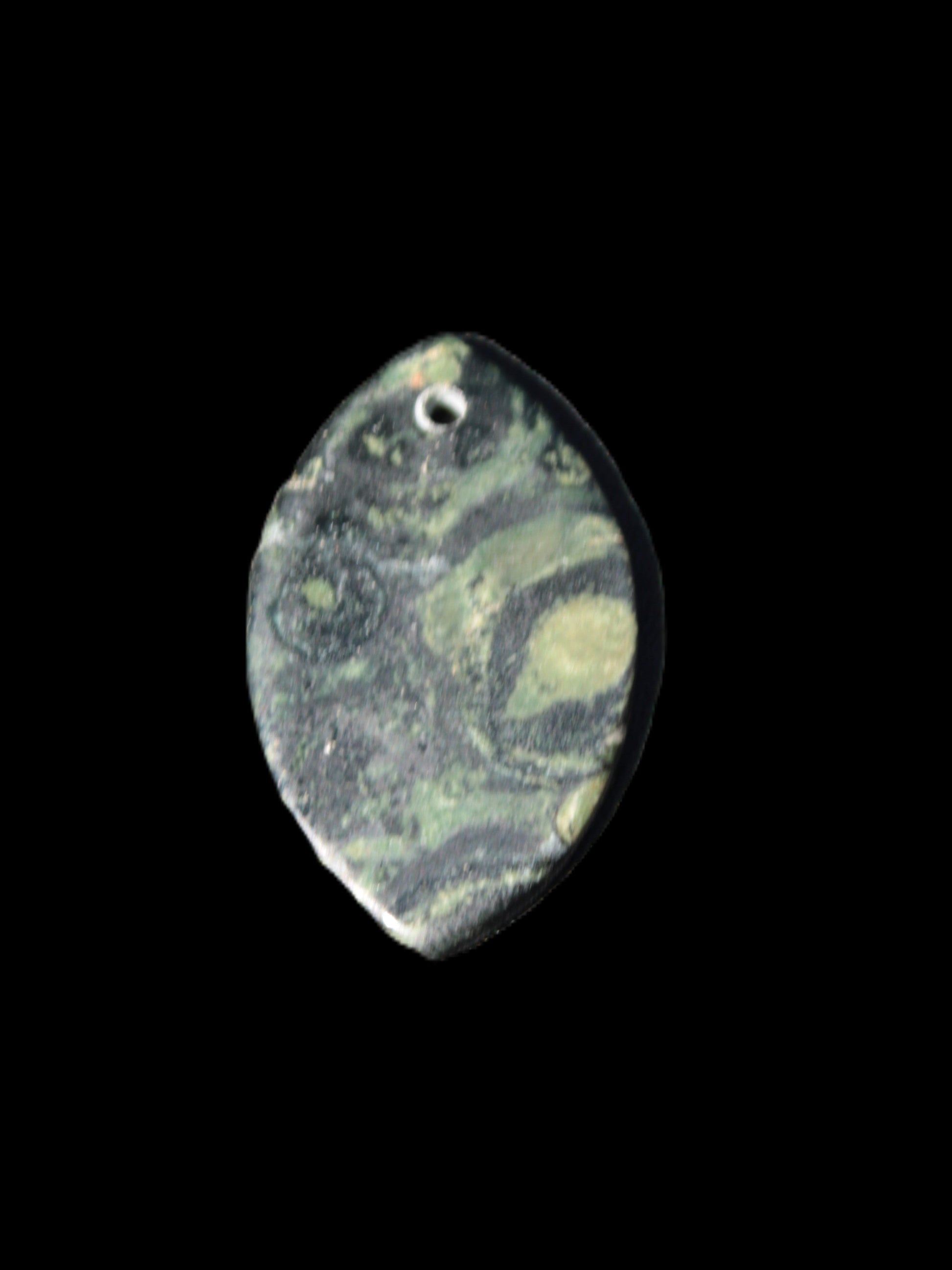 Kambaba Jasper Stromatolite fossil  pendant 21*35+mm 4.3-6.8g Rocks and Things Store