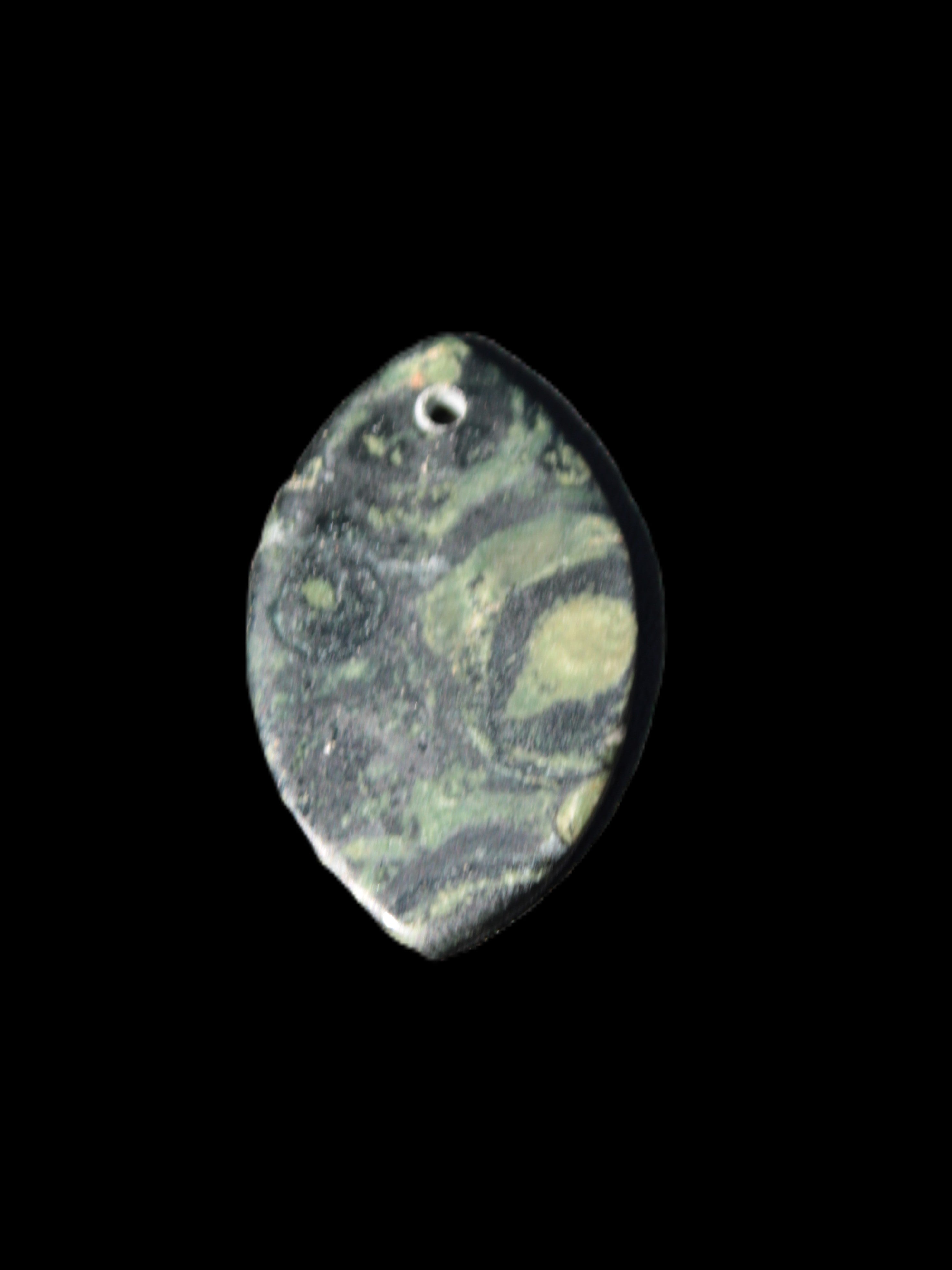 Kambaba Jasper Stromatolite fossil  pendant 21*35+mm 4.3-6.8g Rocks and Things Store