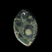 Kambaba Jasper Stromatolite fossil  pendant 21*35+mm 4.3-6.8g Rocks and Things Store