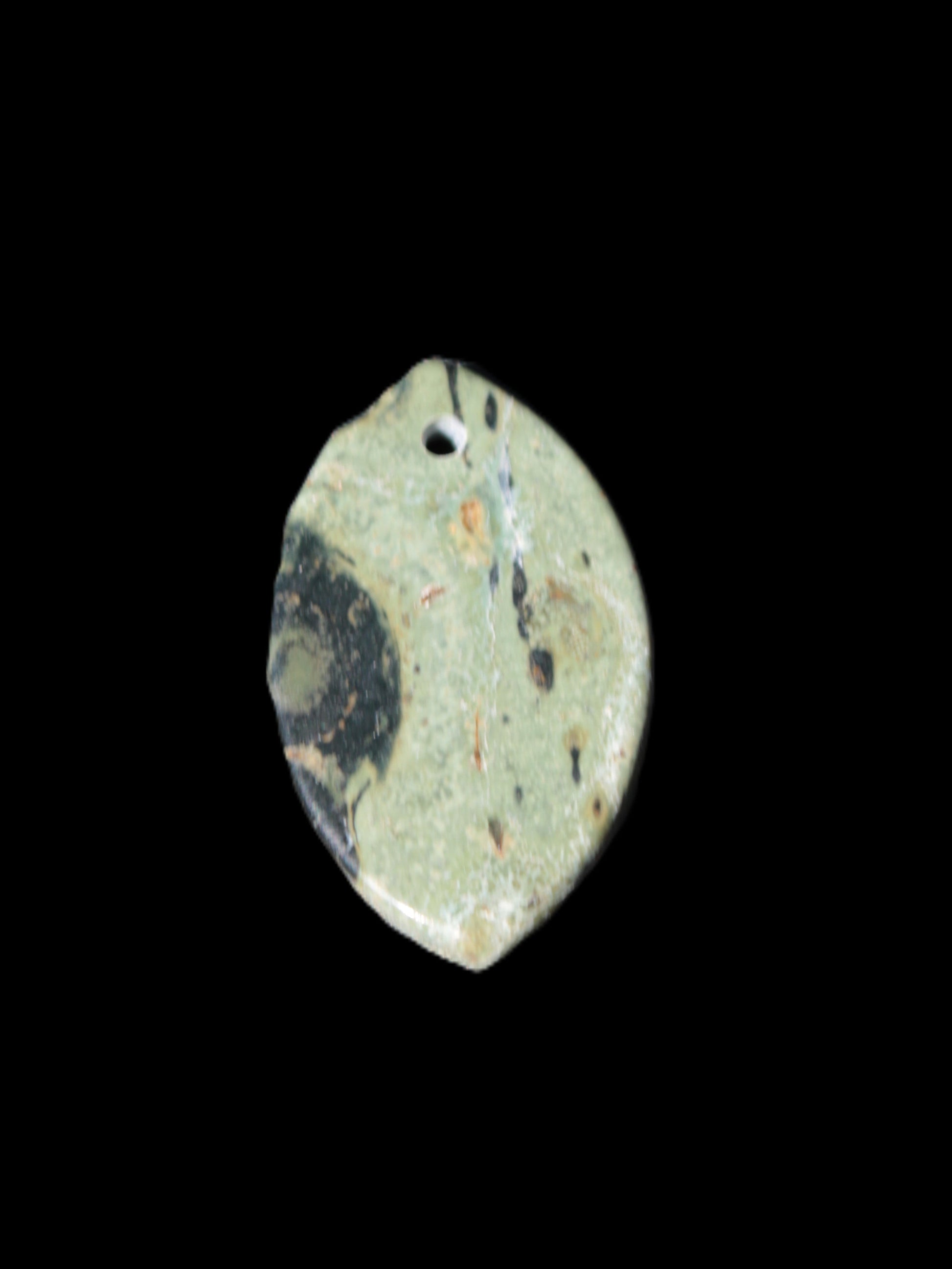 Kambaba Jasper Stromatolite fossil  pendant 21*35+mm 4.3-6.8g Rocks and Things Store