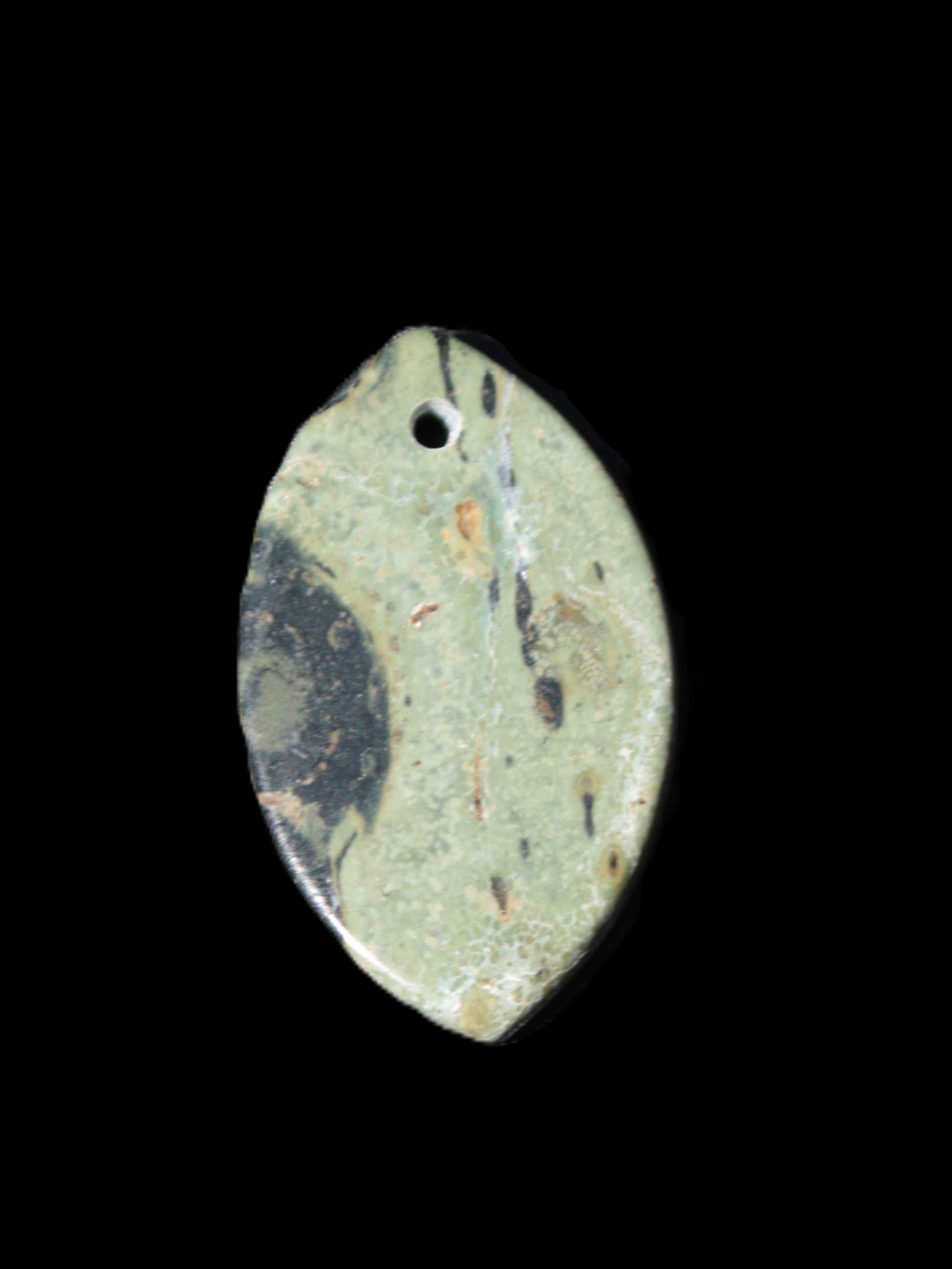 Kambaba Jasper Stromatolite fossil  pendant 21*35+mm 4.3-6.8g Rocks and Things Store