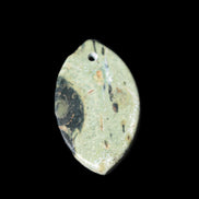 Kambaba Jasper Stromatolite fossil  pendant 21*35+mm 4.3-6.8g Rocks and Things Store