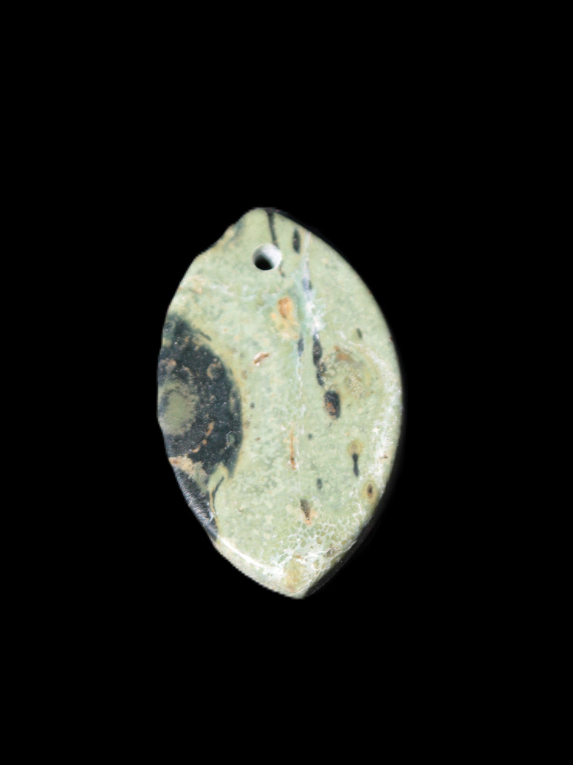 Kambaba Jasper Stromatolite fossil  pendant 21*35+mm 4.3-6.8g Rocks and Things Store