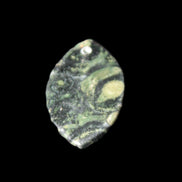 Kambaba Jasper Stromatolite fossil  pendant 21*35+mm 4.3-6.8g Rocks and Things Store