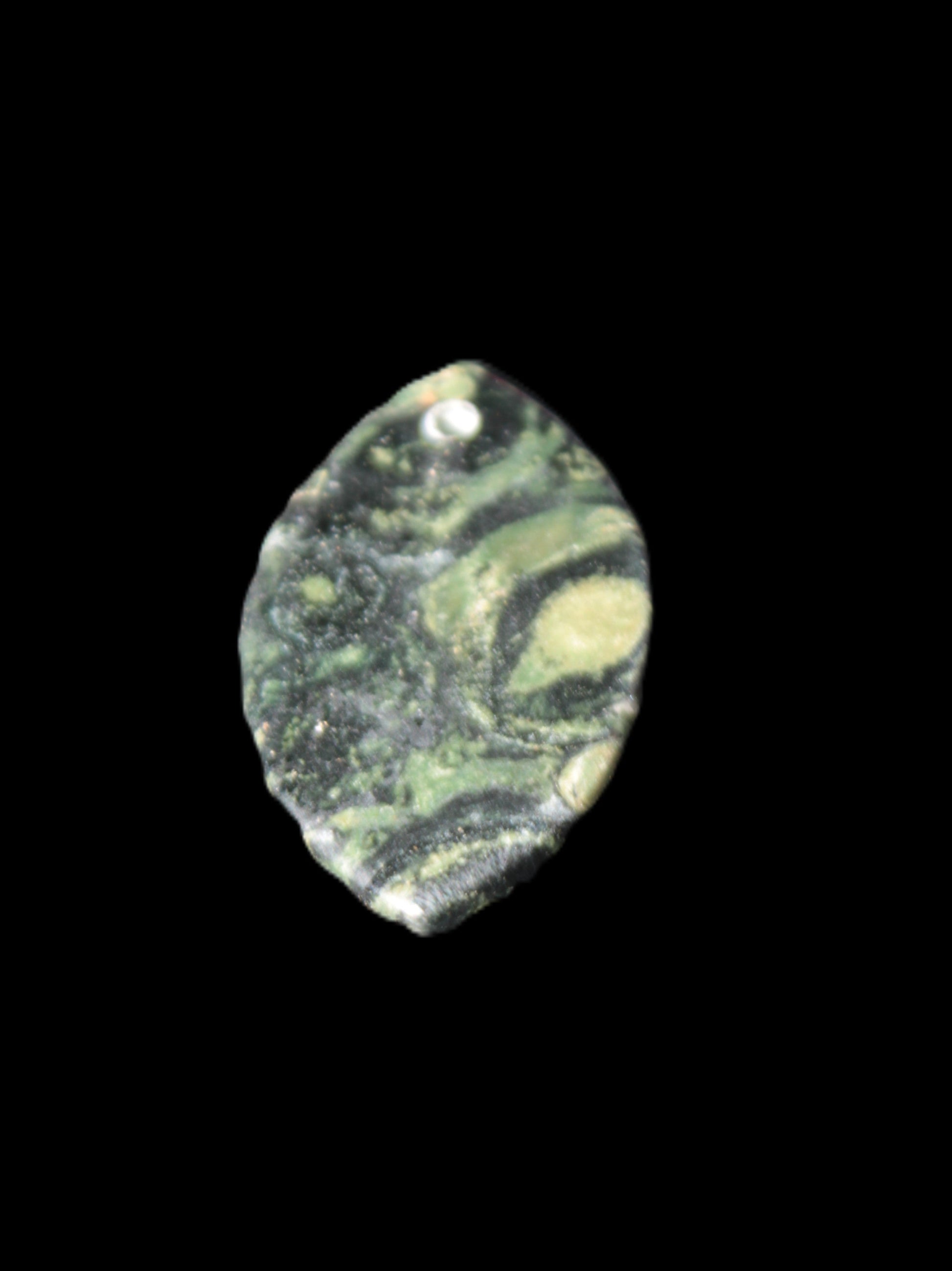 Kambaba Jasper Stromatolite fossil  pendant 21*35+mm 4.3-6.8g Rocks and Things Store