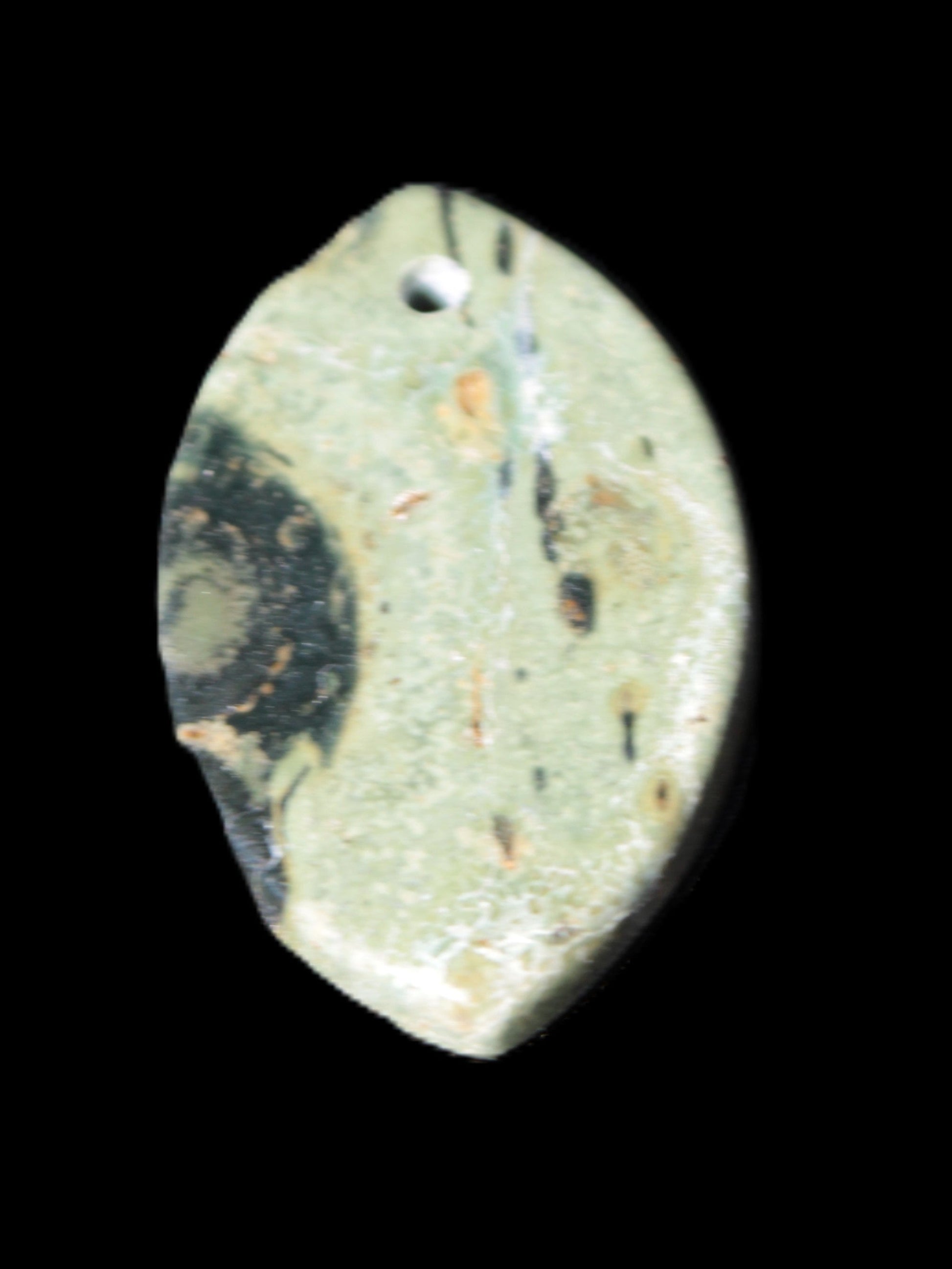 Kambaba Jasper Stromatolite fossil  pendant 21*35+mm 4.3-6.8g Rocks and Things Store