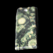 Kambaba Jasper Stromatolite fossil  pendant 21*35+mm 4.3-6.8g Rocks and Things Store