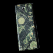 Kambaba Jasper Stromatolite fossil  pendant 21*35+mm 4.3-6.8g Rocks and Things Store