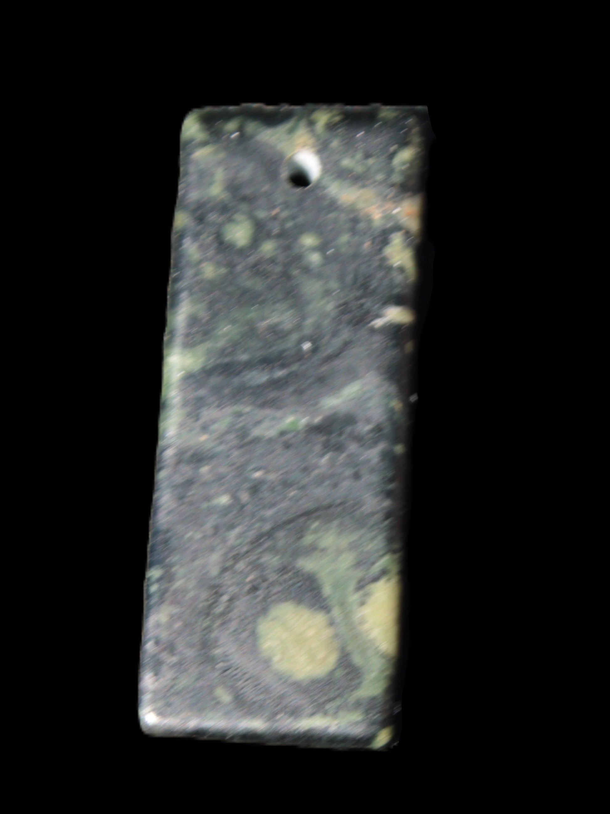 Kambaba Jasper Stromatolite fossil  pendant 21*35+mm 4.3-6.8g Rocks and Things Store