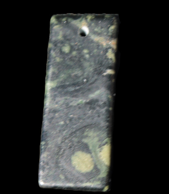 Kambaba Jasper Stromatolite fossil  pendant 21*35+mm 4.3-6.8g Rocks and Things Store