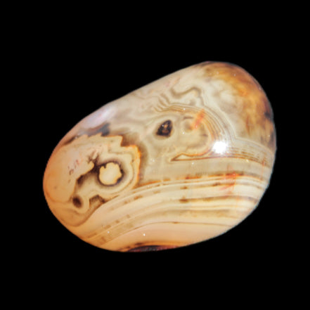 Crazy Lace Agate from Madagascar 19-25g Rocks and Things Store