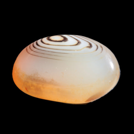 Crazy Lace Agate from Madagascar 19-25g Rocks and Things Store