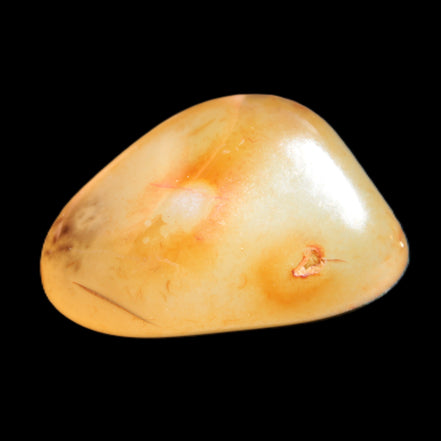 Crazy Lace Agate from Madagascar 19-25g Rocks and Things Store