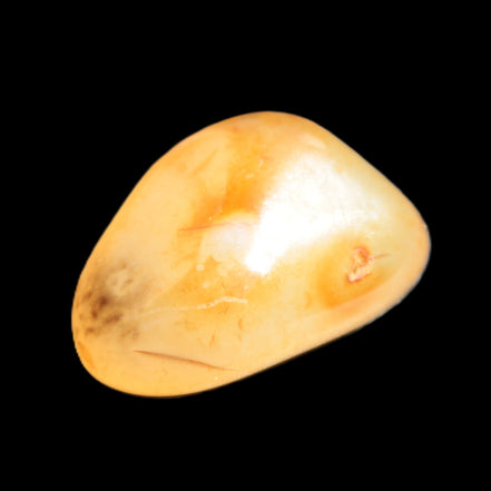 Crazy Lace Agate from Madagascar 19-25g Rocks and Things Store