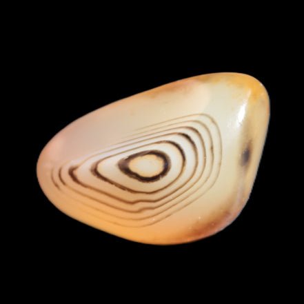 Crazy Lace Agate from Madagascar 19-25g Rocks and Things Store