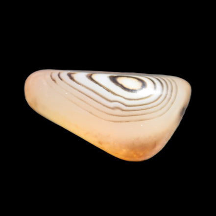 Crazy Lace Agate from Madagascar 19-25g Rocks and Things Store