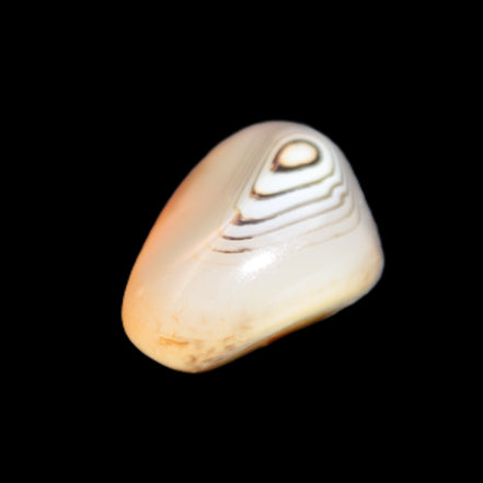 Crazy Lace Agate from Madagascar 19-25g Rocks and Things Store