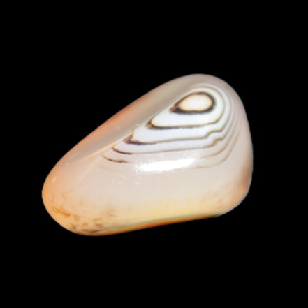 Crazy Lace Agate from Madagascar 19-25g Rocks and Things Store