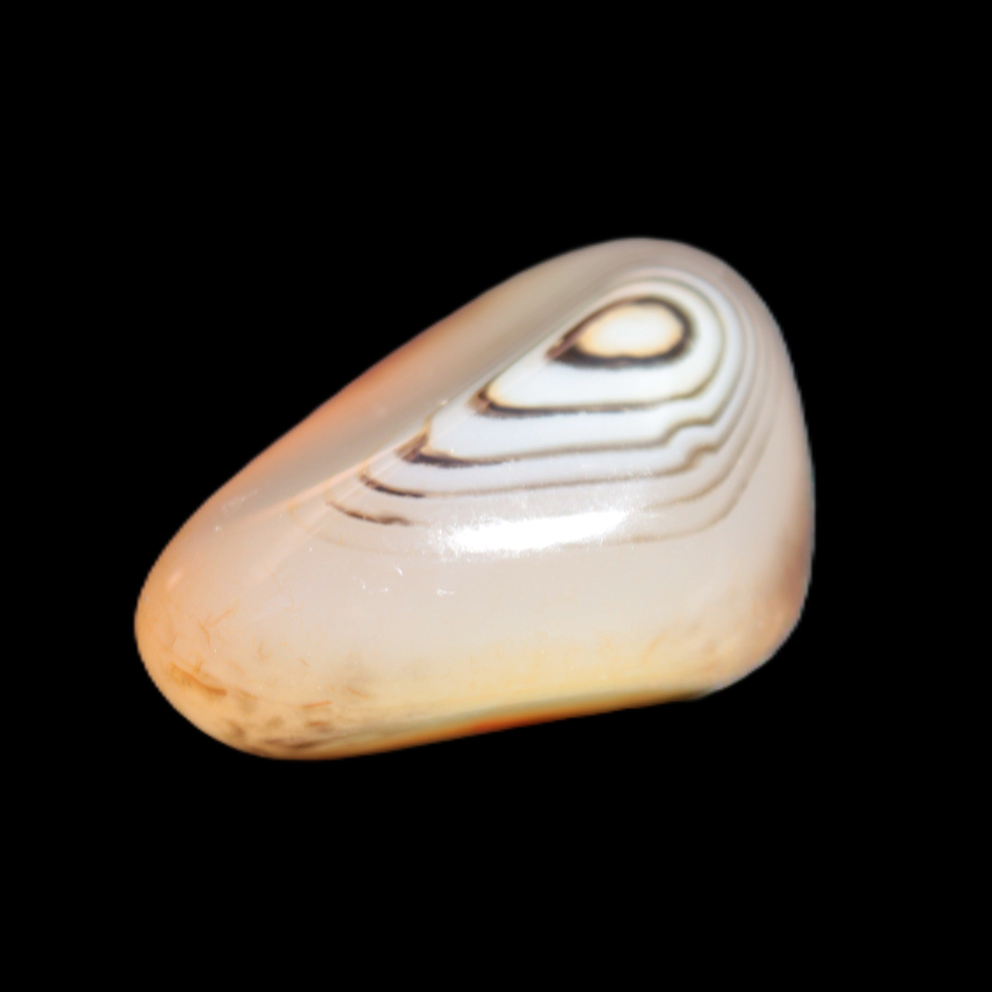 Crazy Lace Agate from Madagascar 19-25g Rocks and Things Store