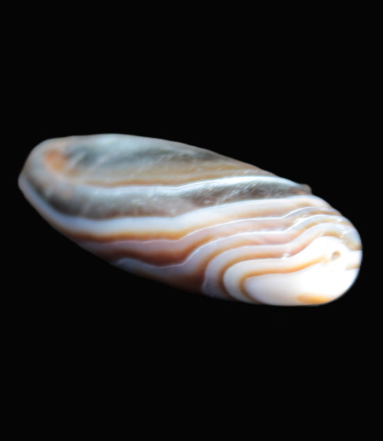 Gobi Eye Agate from Mongolia drilled bead 46.5*15mm 17g Rocks and Things Store
