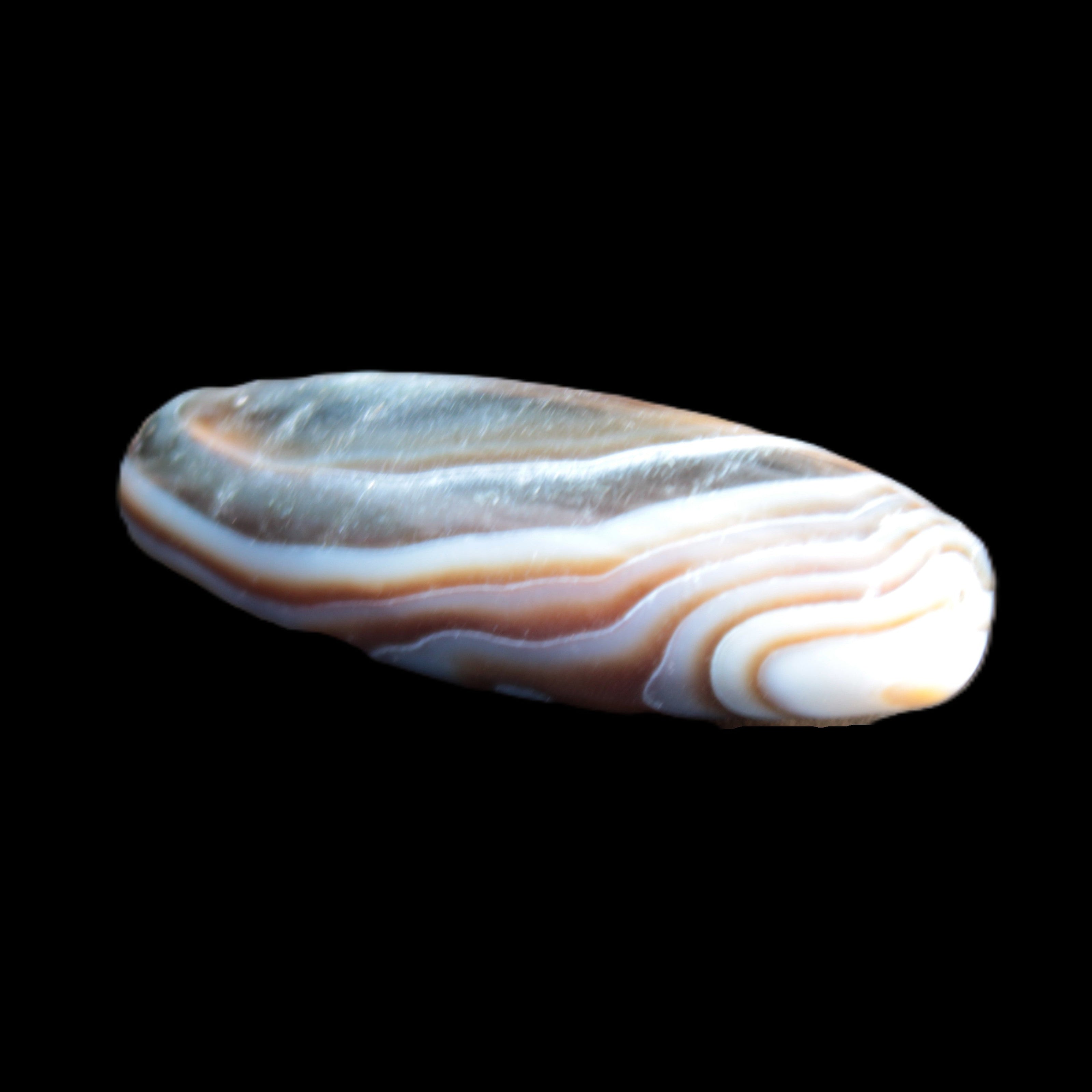 Gobi Eye Agate from Mongolia drilled bead 46.5*15mm 17g Rocks and Things Store