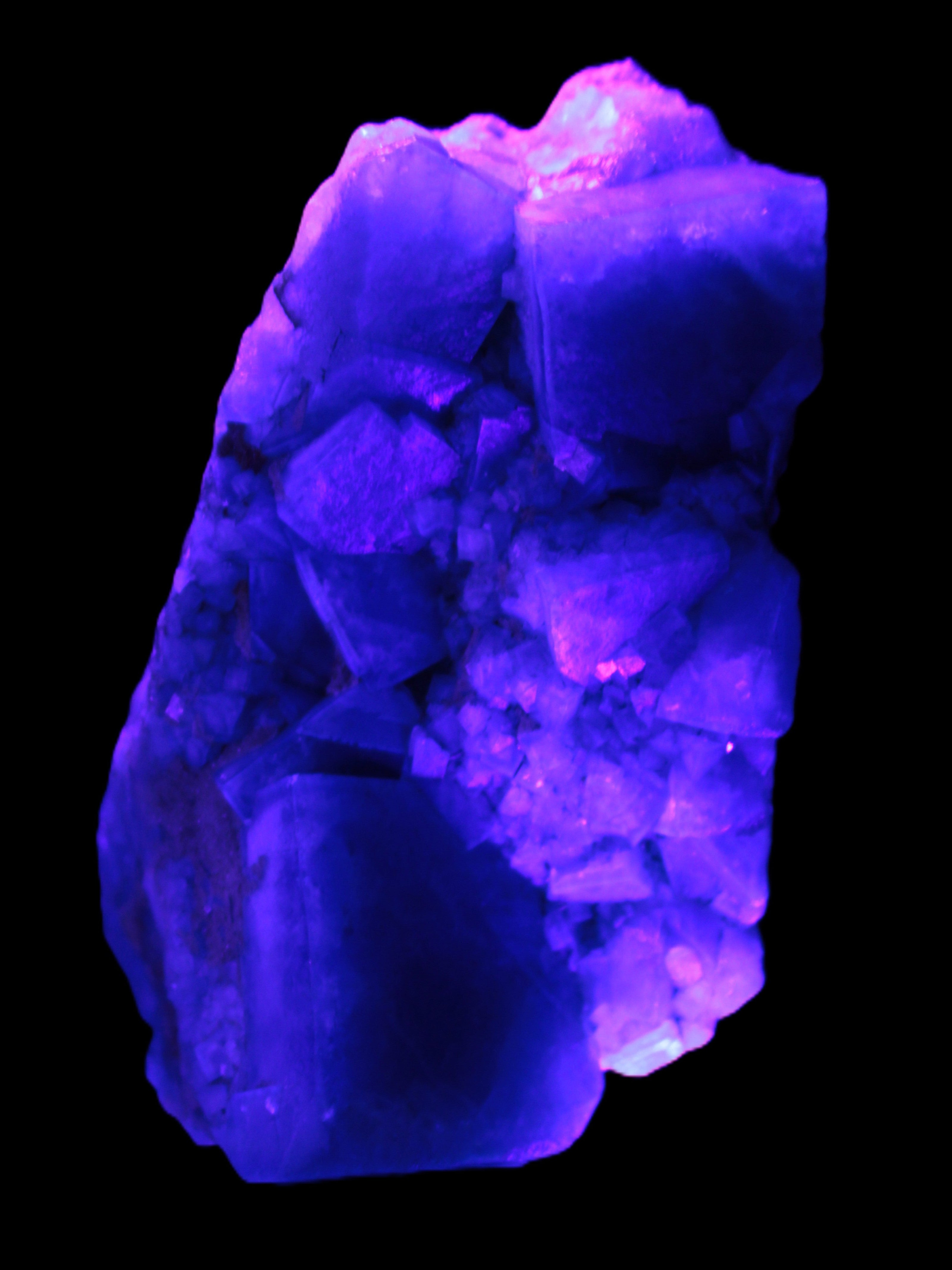 Green Fluorite cubic crystal cluster 130*100*50mm 1365g in UV light - Rocks and Things Store